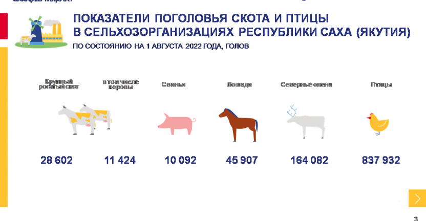 Показатели животноводства в сельхозорганизациях Республики Саха (Якутия) за январь-июль 2022 года